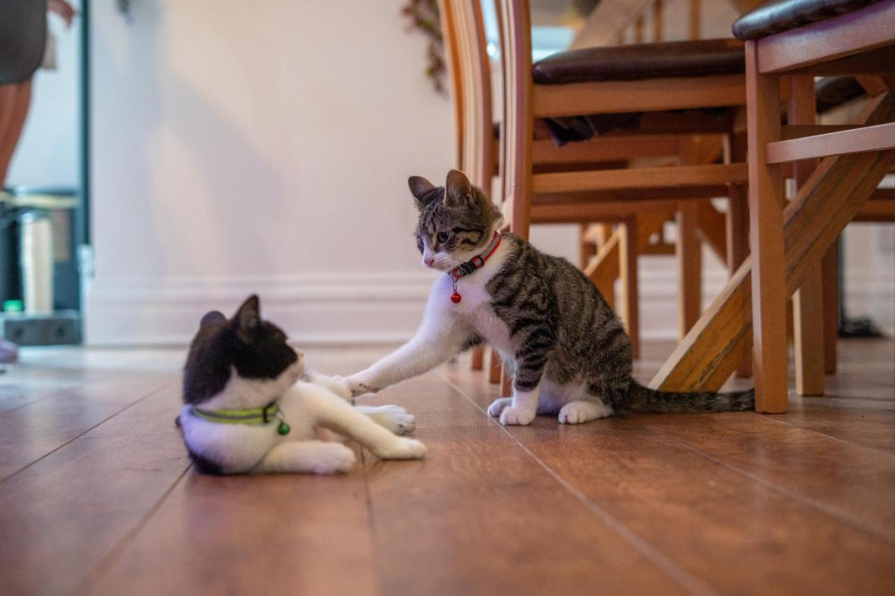 דירות בלקפול Cavendish Cat And Gaming House מראה חיצוני תמונה